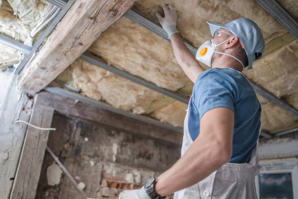 Best Insulation Maintenance and Repair in Crandon, WI
